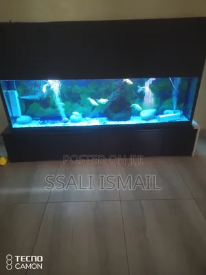The Best Size Aquarium for Sitting Room