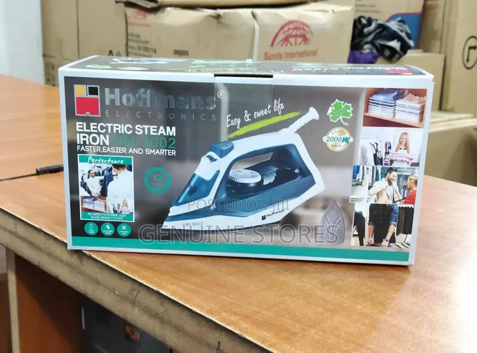 Hoffman Steam Iron