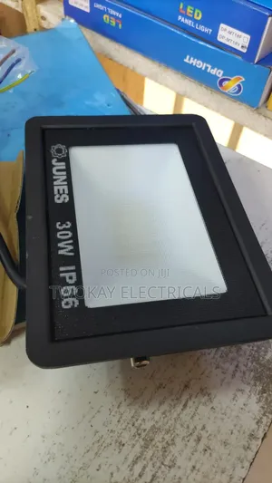 30w Flood Light