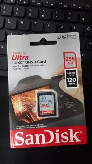 256gb Camera Cards