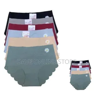 Seamless Ladies Panties - Assorted Color , 6 PCS