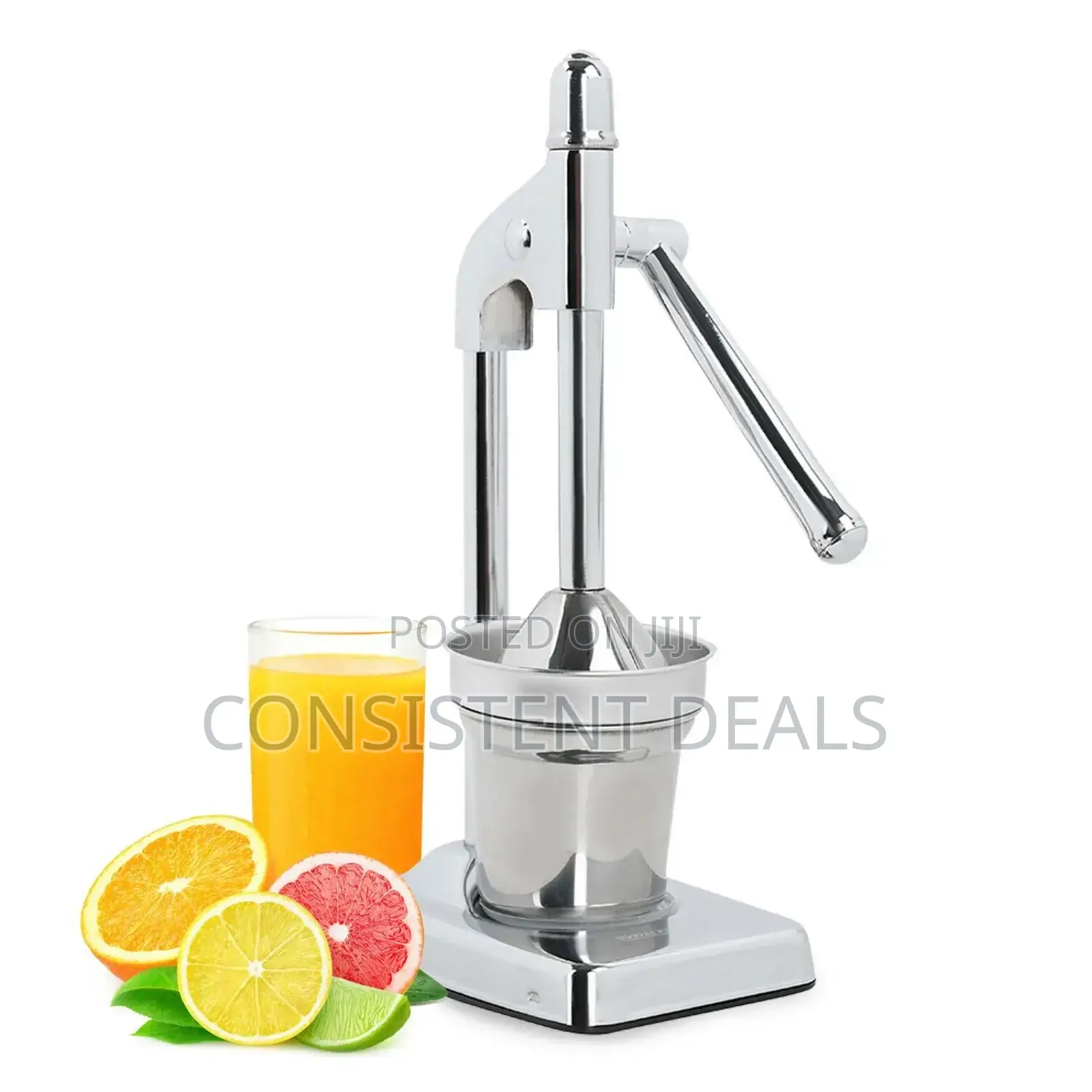 Stainless Steel Manual Juicer