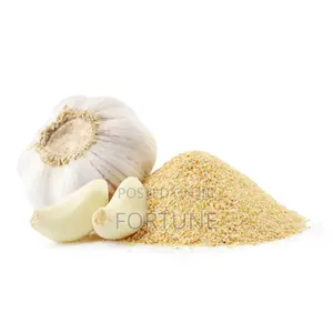 Garlic Powder 500g