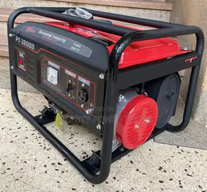 PT-3800D Gasoline Generator