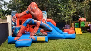 Bouncing Castle for Hire