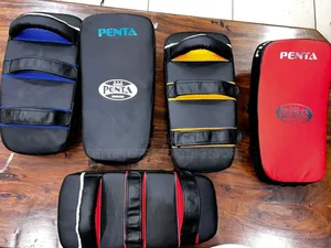 Kick Boxing Pad