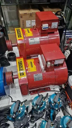 Asynchronous Alternator Single Phase
