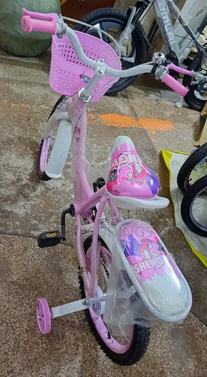 Sofia's Bicycle