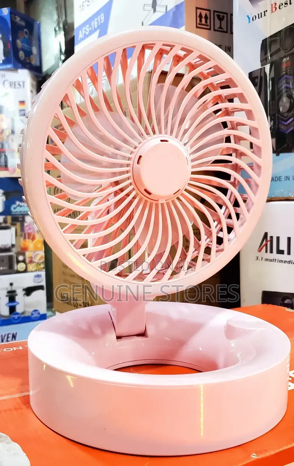 Portable Fan