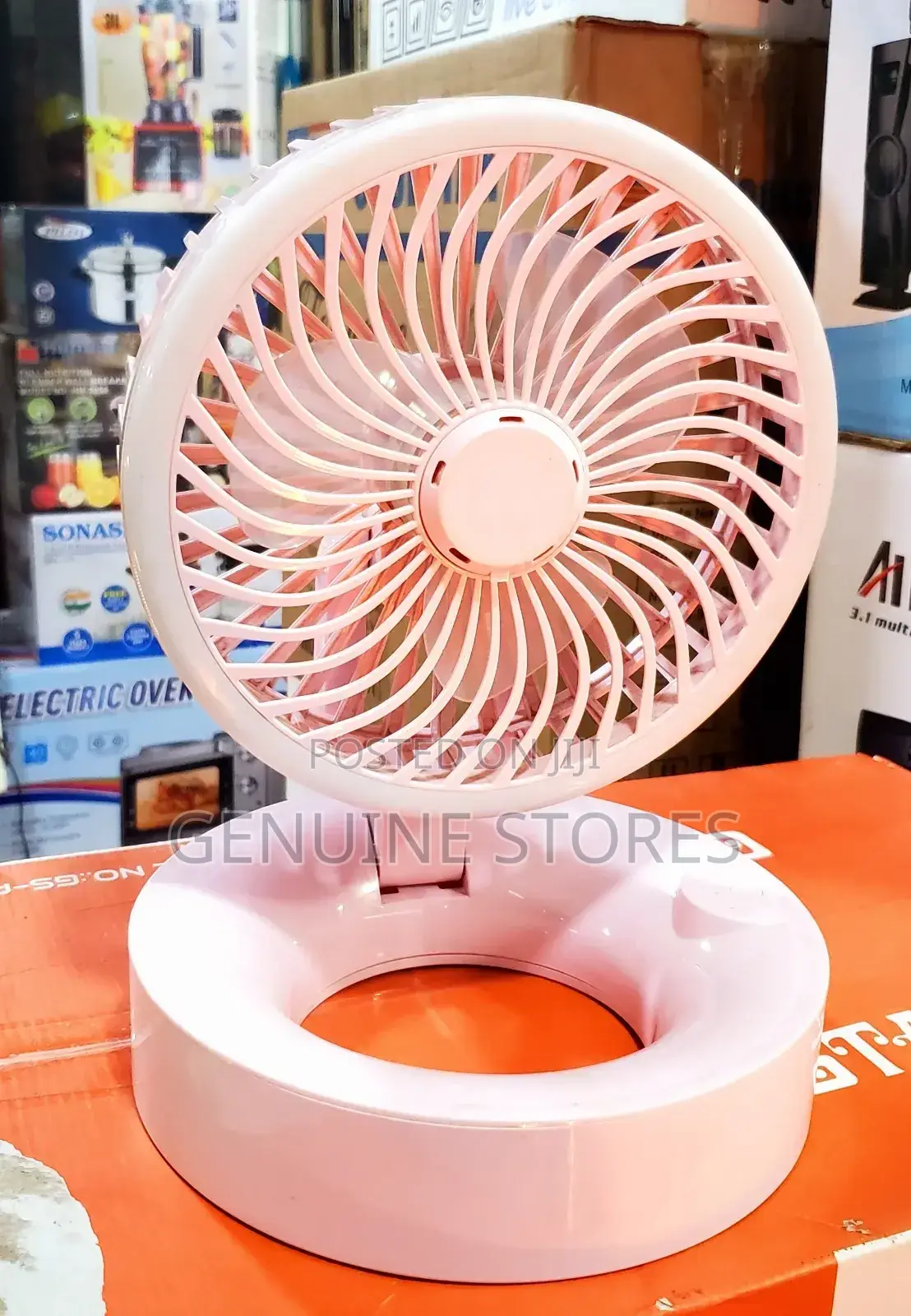 Portable Fan