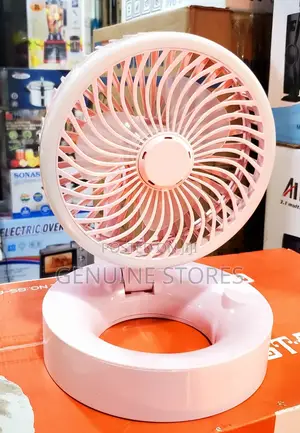 Portable Fan