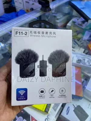 Mini Micro Microphone/ Wireless Microphone