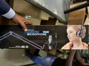 Professional Recording Stand Microphone