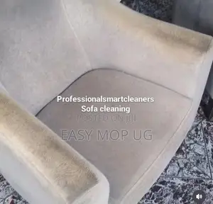 Sofa Cleaning