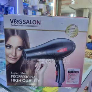 Hair Hand Dryer/v G SALON