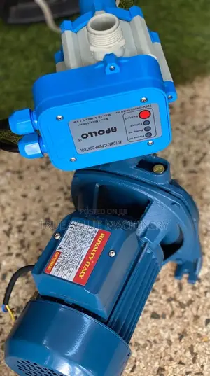 Royalty Italy 36m Head Surface Pump