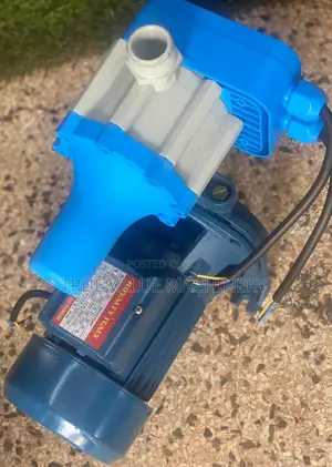 100l/Min RT CPM-158 Surface Pump