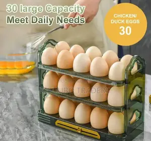 Egg Storage Box/ Egg Organizer