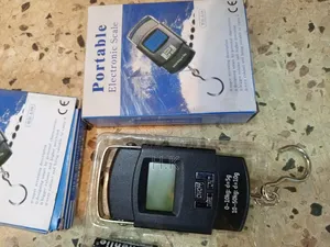 Portable Electronic Scale