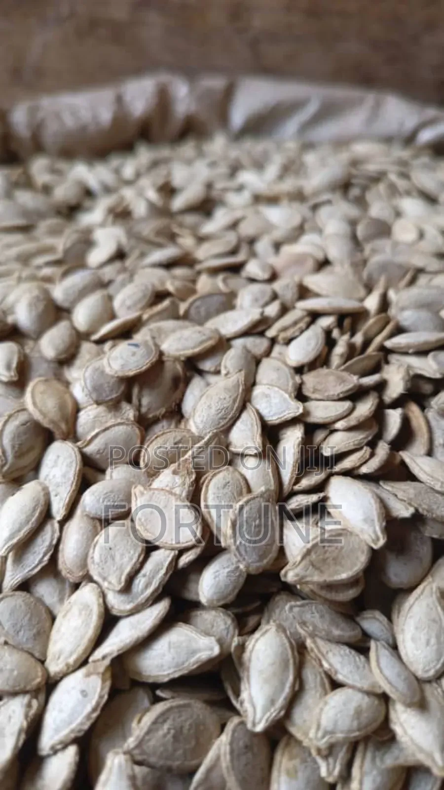 Pumpkin Seeds 1kg
