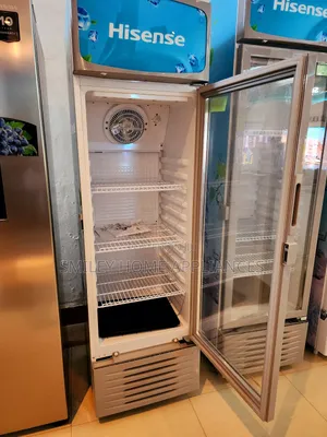 300ltrs Hisense Chiller Refrigerator