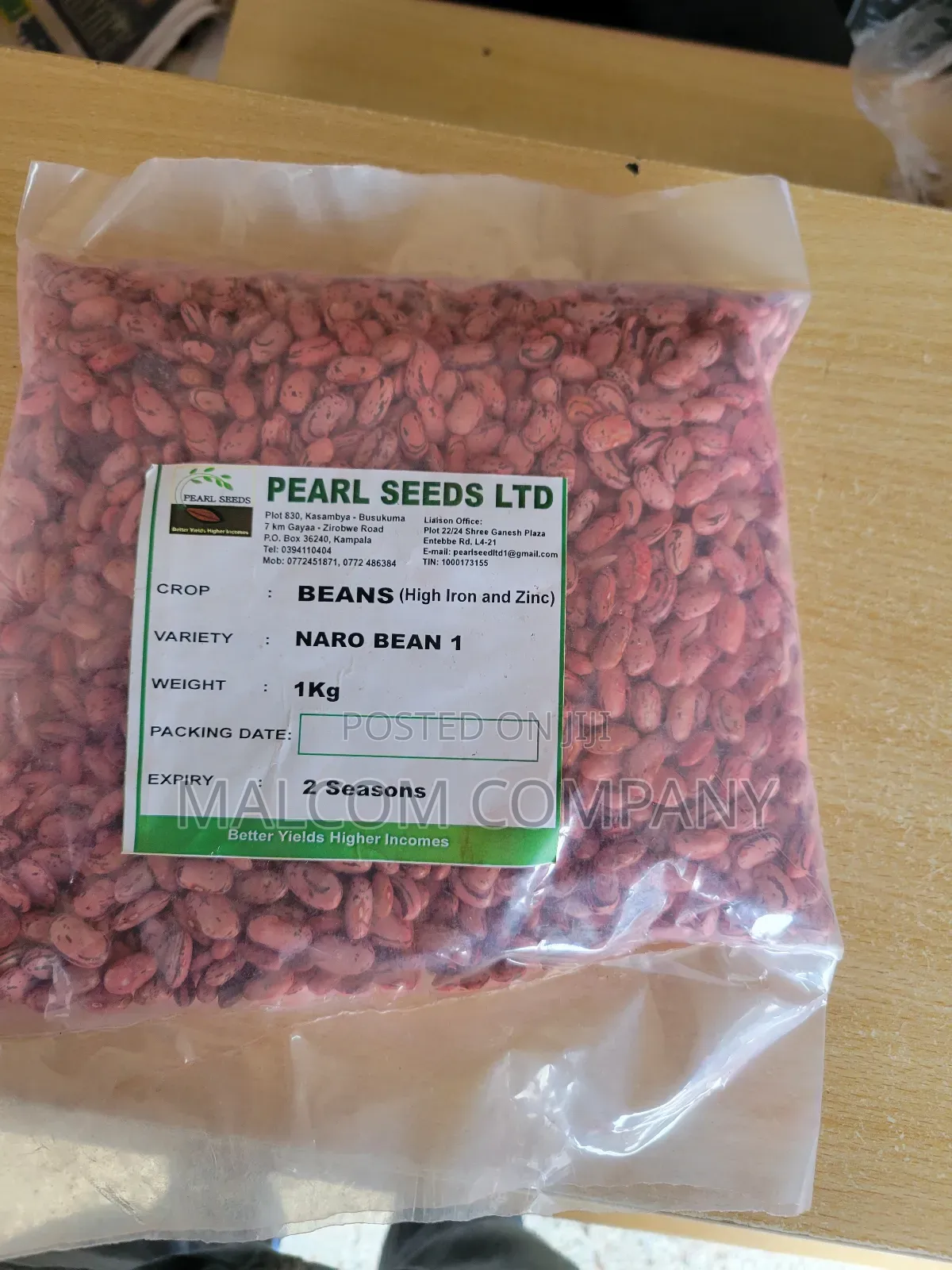 Bean Seeds Masavu