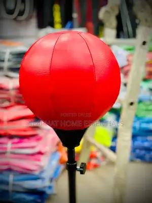 Boxing Spin Ball