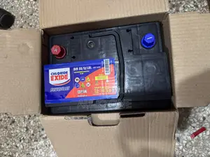 Din55 Chloride Exide.