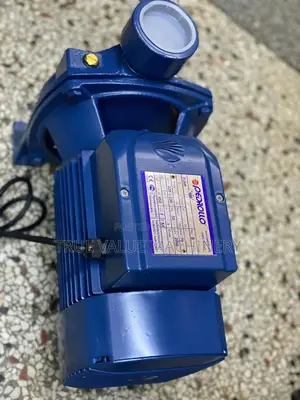 Pedrollo Italy Surface Pump