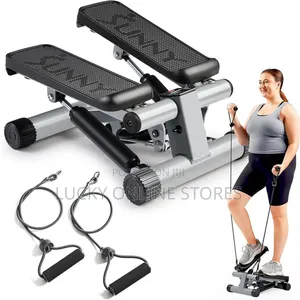 Mini Fitness Stepper