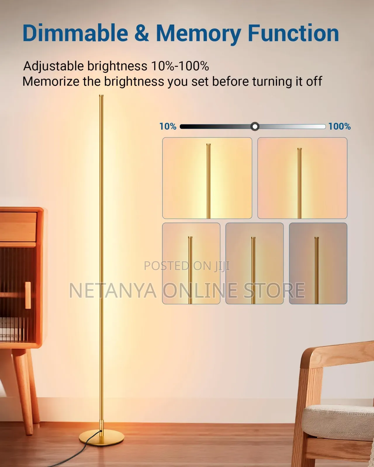Modern Led Floor Lamp