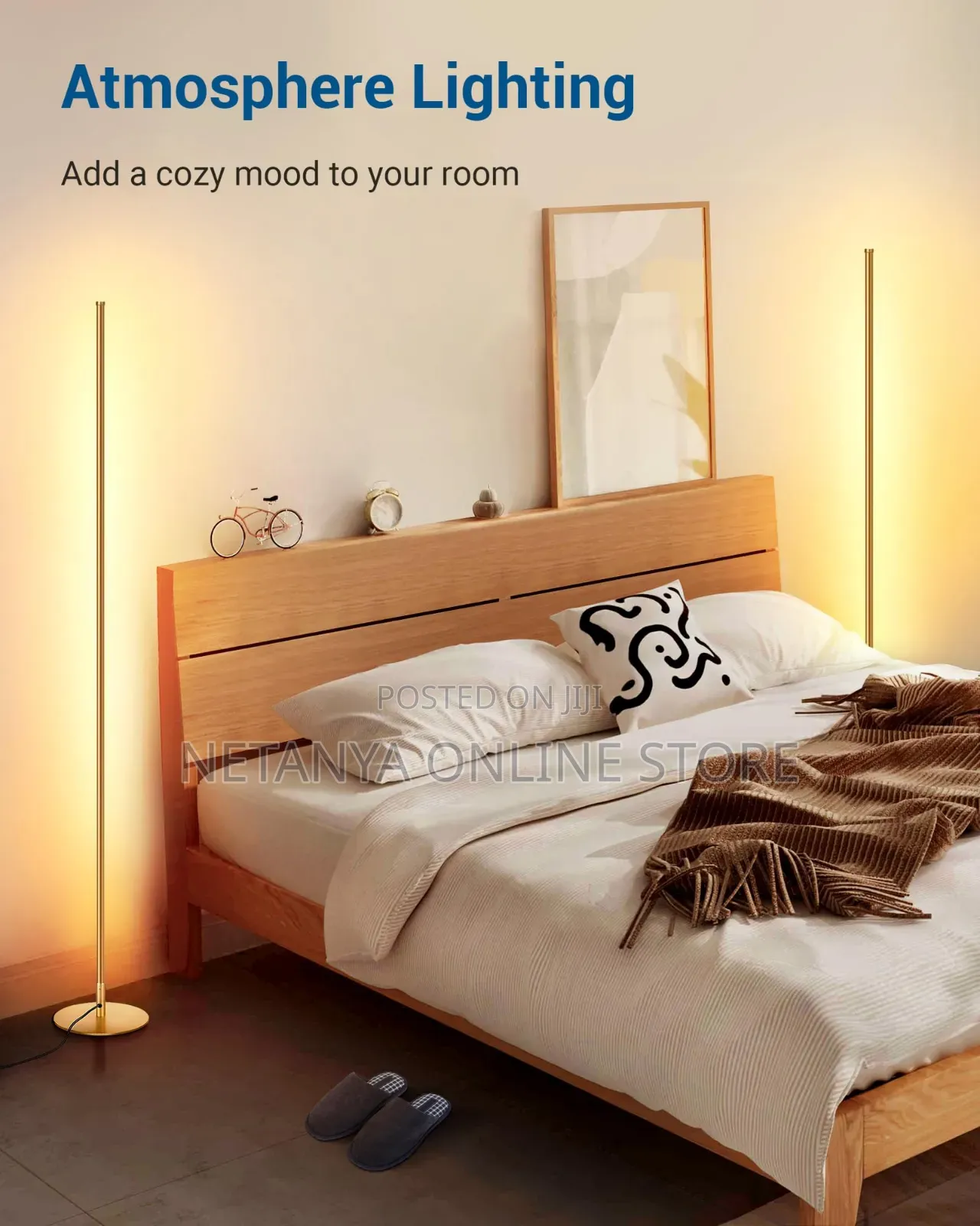 Modern Led Floor Lamp