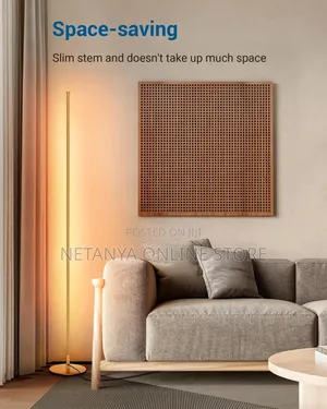 Modern Led Floor Lamp
