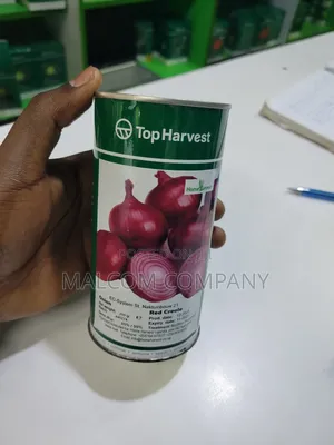 Red Creoles Onion Seeds- 250g(1 Acre Requires 1kg)