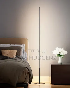 Led Modern Floor Lamp