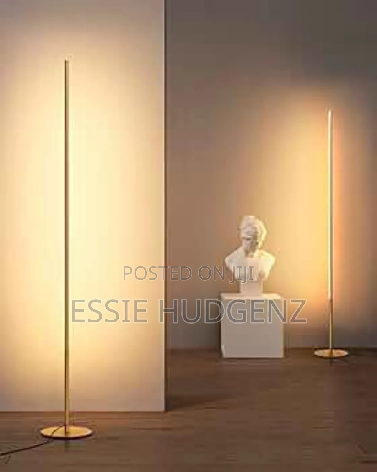 Led Modern Floor Lamp