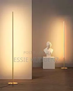 Led Modern Floor Lamp