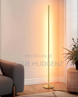 Led Modern Floor Lamp