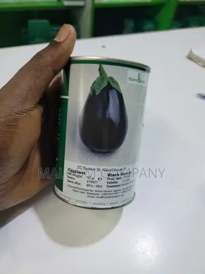 Egg Plant Black Beauty Seeds 100g For One Acre.