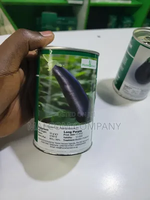 Egg Plant Long Purple Seeds 100g For An Acre.