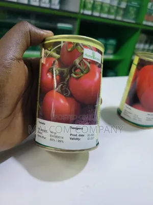 Tomato Seeds 100g Tengeru for an Acre.