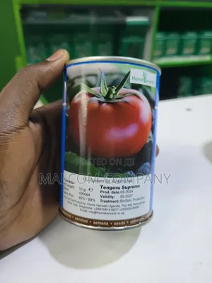 Tomatoes Seeds Tengeru Supreme 100g for an Acre