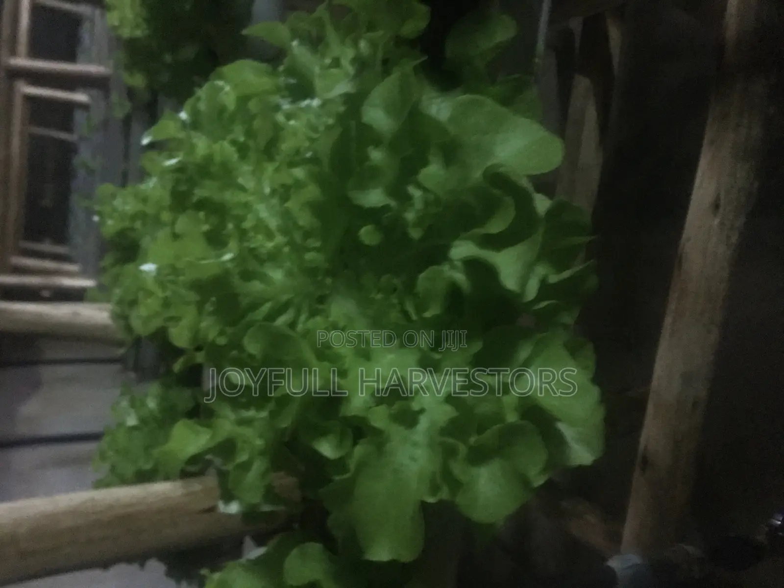 Hydroponics