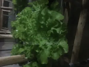 Hydroponics