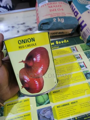 Onion Seeds Red Creoles 250g