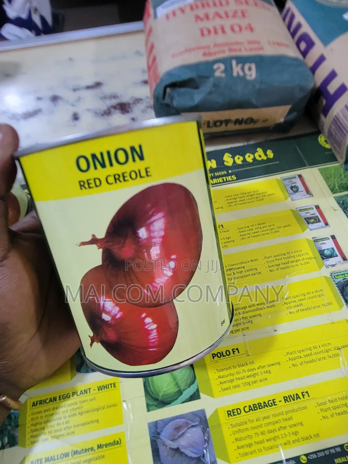 Onion Seeds Red Creoles 250g