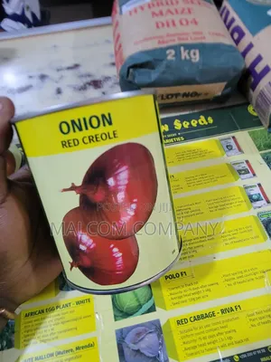 Onion Seeds Red Creoles 250g