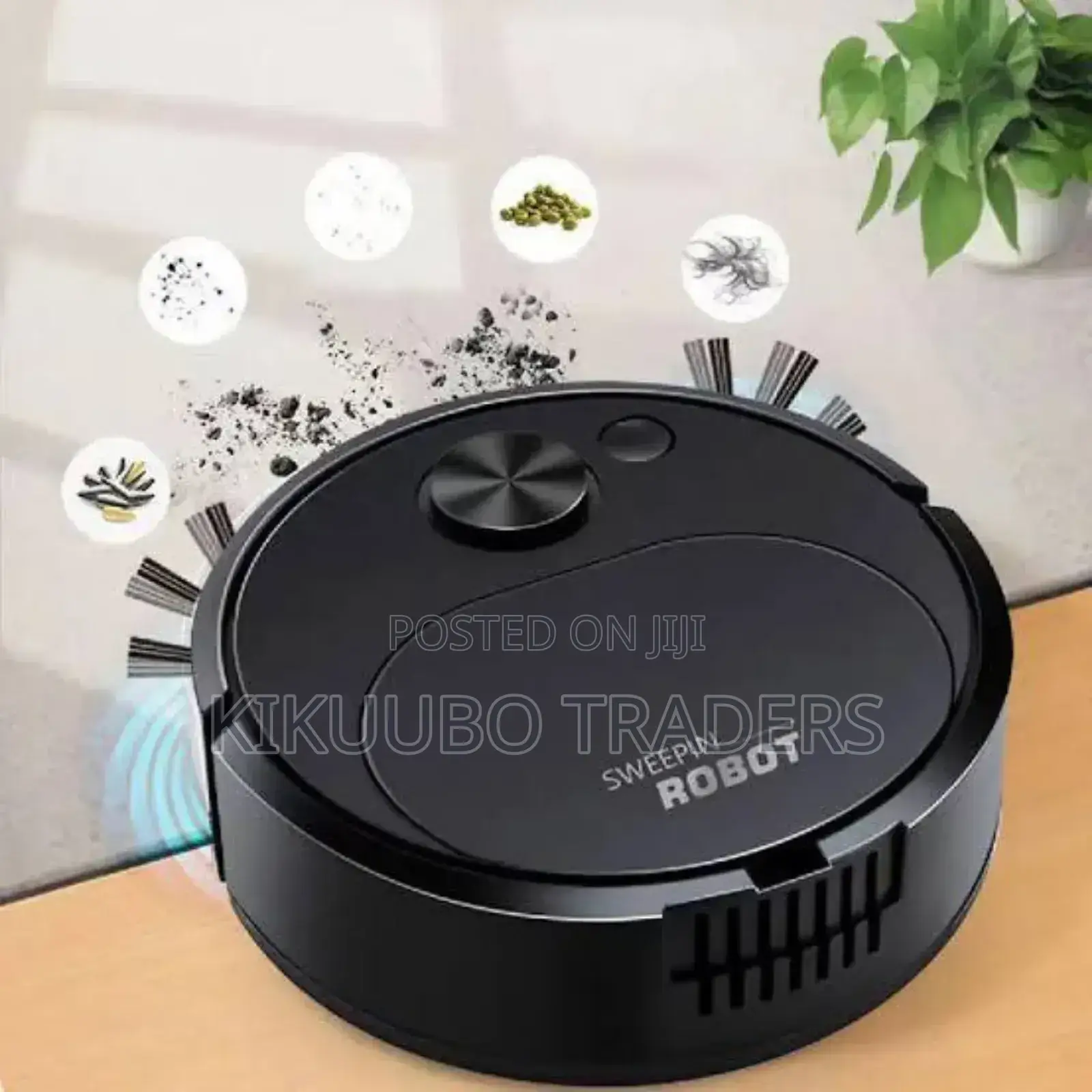 Robotic Intelligent Sweeper