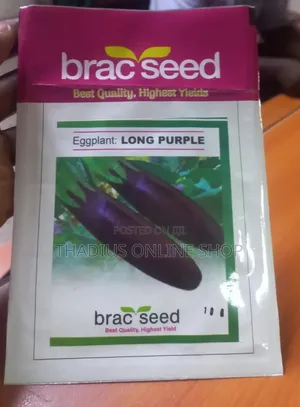 Long Purple Egg Plant ( Biringanya)