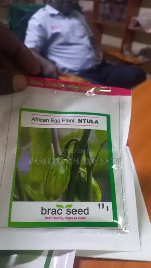 Eggplants Seeds (Ntula)